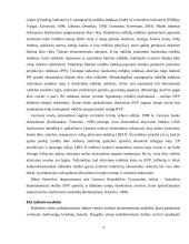 Bendro vidaus produkto (BVP) modeliavimas 4 puslapis