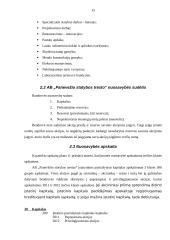 Bendrovės nuosavybės formavimasis ir apskaita: AB "Panevėžio statybų trestas" 15 puslapis