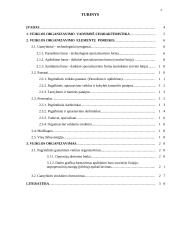 Pramonės veiklos organizavimas 1 puslapis