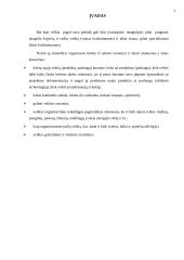 Pramonės veiklos organizavimas 2 puslapis