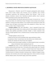 Bendrųjų teisės principų vaidmuo aiškinant ir taikant teisę 12 puslapis