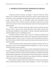 Bendrųjų teisės principų vaidmuo aiškinant ir taikant teisę 10 puslapis