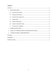 Prekės ženklų perpozicionavimo ir keitimo proceso valdymas 2 puslapis