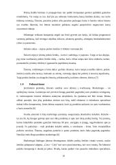 Prekės ženklų perpozicionavimo ir keitimo proceso valdymas 11 puslapis