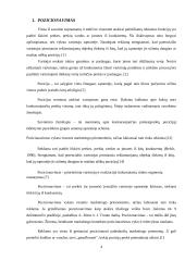 Prekės ženklų perpozicionavimo ir keitimo proceso valdymas 5 puslapis