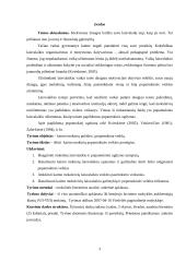 Berniukų ir mergaičių laisvalaikio pomėgiai ir popamokinio ugdymo ypatumai 3 puslapis
