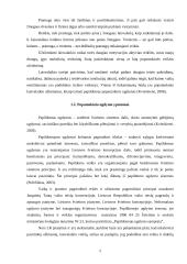 Berniukų ir mergaičių laisvalaikio pomėgiai ir popamokinio ugdymo ypatumai 5 puslapis