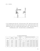 Biomechanikos mokslas ir tyrimai 16 puslapis