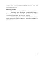 Birutės Pūkelevičiūtės romano "Naujųjų metų istorija" problematika. 13 puslapis