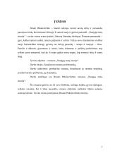 Birutės Pūkelevičiūtės romano "Naujųjų metų istorija" problematika. 3 puslapis