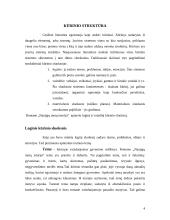Birutės Pūkelevičiūtės romano "Naujųjų metų istorija" problematika. 4 puslapis