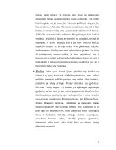 Birutės Pūkelevičiūtės romano "Naujųjų metų istorija" problematika. 8 puslapis