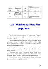 Branduolinės energetikos pozicija Lietuvoje bei pasaulinės atominių elektrinių avarijos 11 puslapis