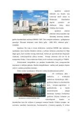 Branduolinės energetikos pozicija Lietuvoje bei pasaulinės atominių elektrinių avarijos 16 puslapis