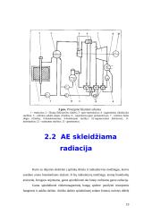 Branduolinės energetikos pozicija Lietuvoje bei pasaulinės atominių elektrinių avarijos 18 puslapis