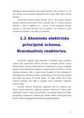 Branduolinės energetikos pozicija Lietuvoje bei pasaulinės atominių elektrinių avarijos 4 puslapis