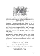 Branduolinės energetikos pozicija Lietuvoje bei pasaulinės atominių elektrinių avarijos 5 puslapis