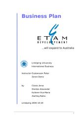 Business plan:  Market "Etam"