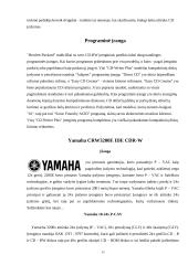 CD ir CD-RW įrenginių ypatybės 15 puslapis