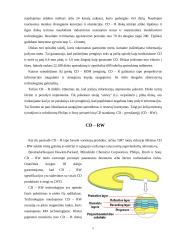 CD ir CD-RW įrenginių ypatybės 5 puslapis