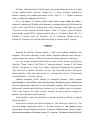 CD ir CD-RW įrenginių ypatybės 8 puslapis