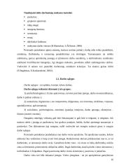 Priemonės ir būdai įmonės veiklai pagerinti 16 puslapis