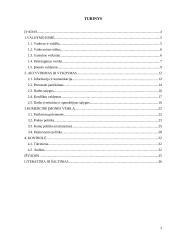 Priemonės ir būdai įmonės veiklai pagerinti 3 puslapis