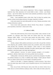 Priemonės ir būdai įmonės veiklai pagerinti 5 puslapis