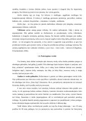 Priemonės ir būdai įmonės veiklai pagerinti 7 puslapis