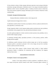Civilinės ir darbo saugos kontrolinis darbas 18 puslapis
