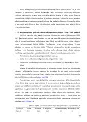 Privatizavimo raida Lietuvoje 19 puslapis