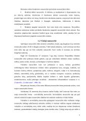 Privatizavimo raida Lietuvoje 5 puslapis