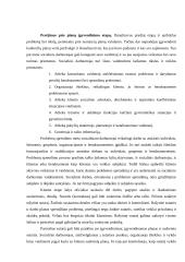 Problemos sprendimo procesas socialinio darbo praktikoje 12 puslapis