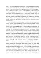 Problemos sprendimo procesas socialinio darbo praktikoje 13 puslapis