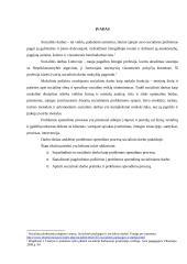 Problemos sprendimo procesas socialinio darbo praktikoje 3 puslapis