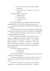 Darbo užmokesčio apskaita ir reikšmė 7 puslapis