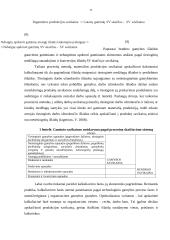 Procesinis išlaidų kalkuliavimas 11 puslapis