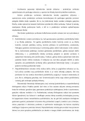 Procesinis išlaidų kalkuliavimas 15 puslapis