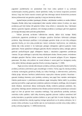 Procesinis išlaidų kalkuliavimas 16 puslapis