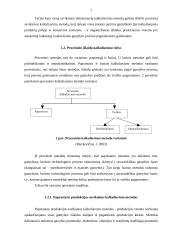 Procesinis išlaidų kalkuliavimas 4 puslapis