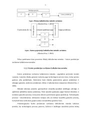 Procesinis išlaidų kalkuliavimas 6 puslapis