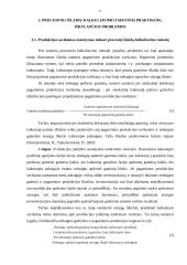 Procesinis išlaidų kalkuliavimas 9 puslapis
