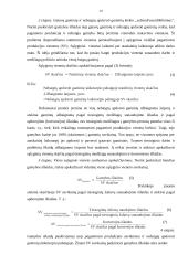 Procesinis išlaidų kalkuliavimas 10 puslapis