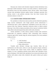 Darbo jėgos analizė 13 puslapis