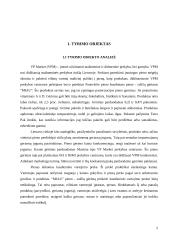 Produkto įvedimas į rinką: sulčių gėrimas "Miau" 2 puslapis