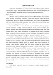 Produkto įvedimas į rinką: sulčių gėrimas "Miau" 3 puslapis