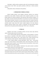 Produkto įvedimas į rinką: sulčių gėrimas "Miau" 6 puslapis