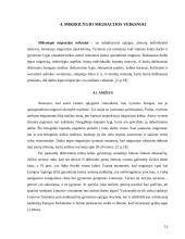 Darbo jėgos migracijos priežastys 12 puslapis