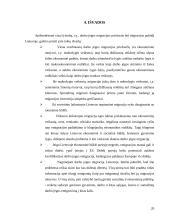 Darbo jėgos migracijos priežastys 20 puslapis