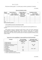 Produkto, paslaugų kūrimas ir vykdymas 17 puslapis